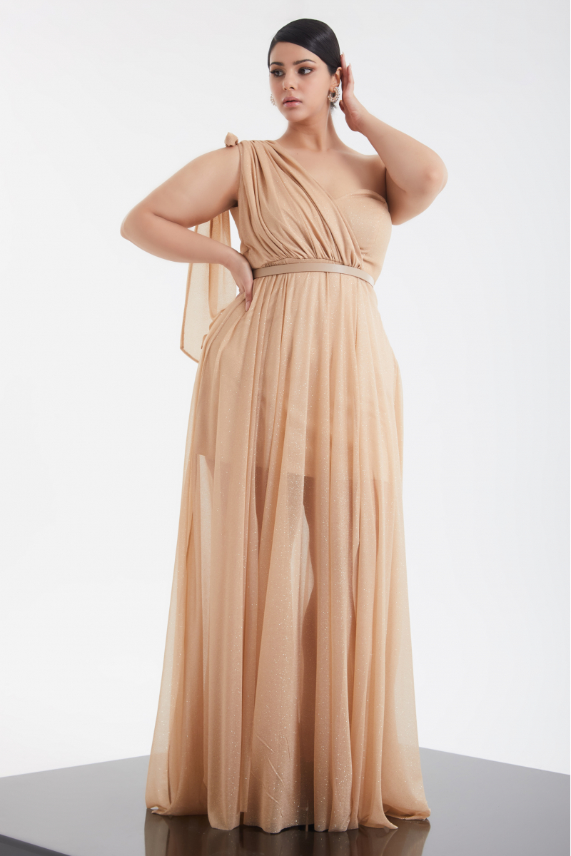 Gold plus size tulle single sleeve maxi dress
