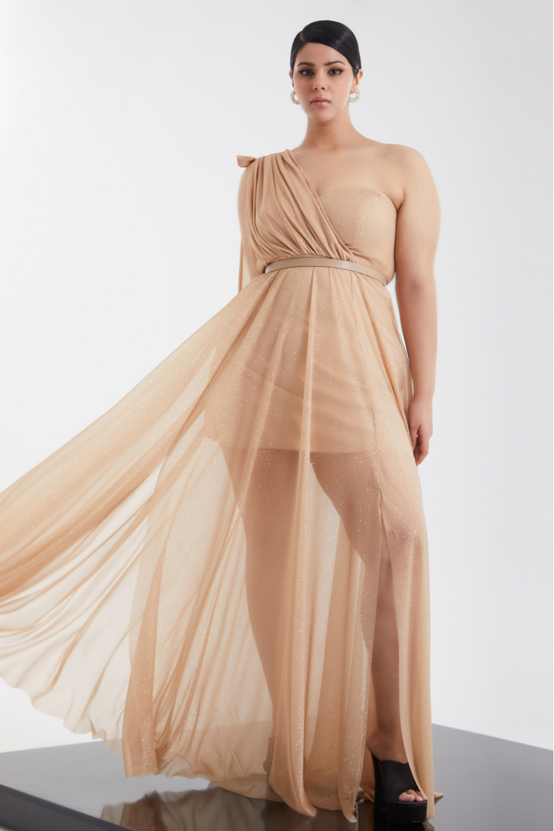 Gold plus size tulle single sleeve maxi dress