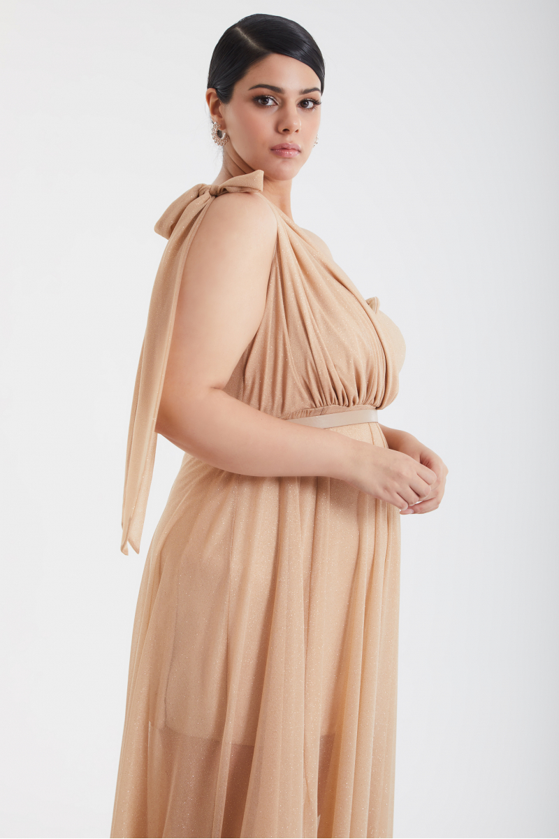 Gold plus size tulle single sleeve maxi dress