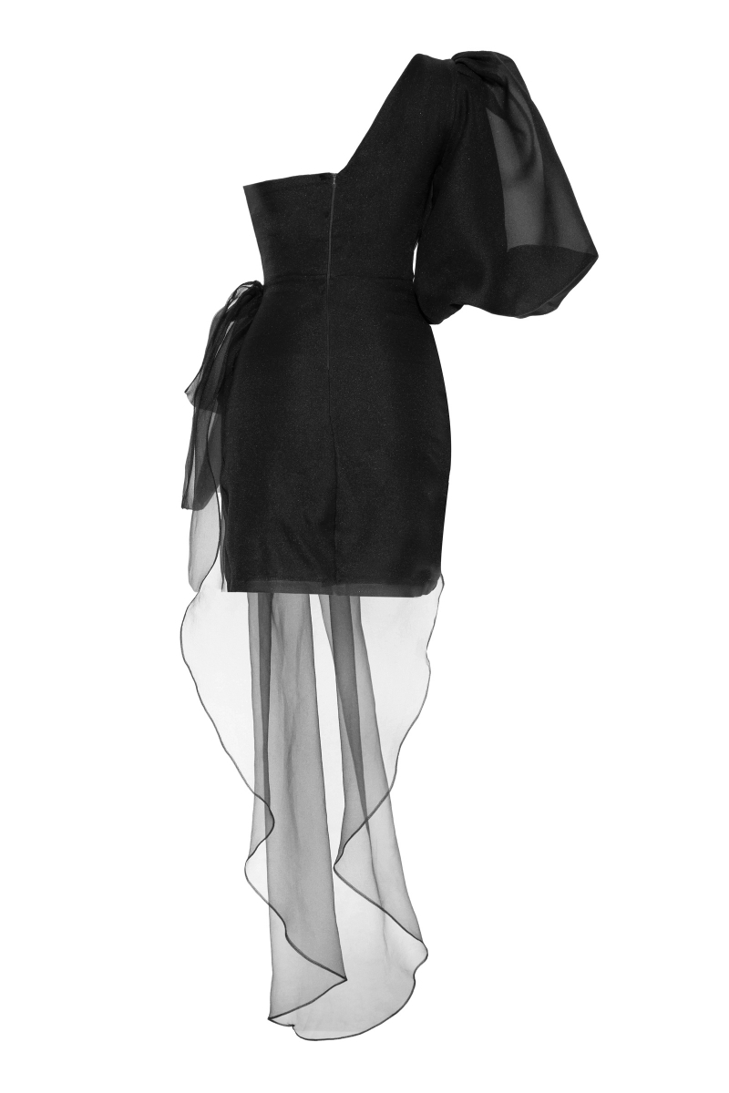 Black tulle single sleeve mini dress
