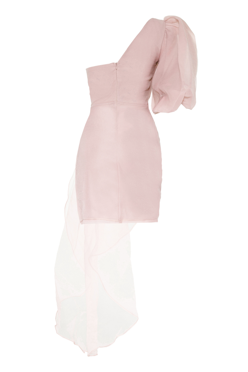 Blush tulle single sleeve mini dress