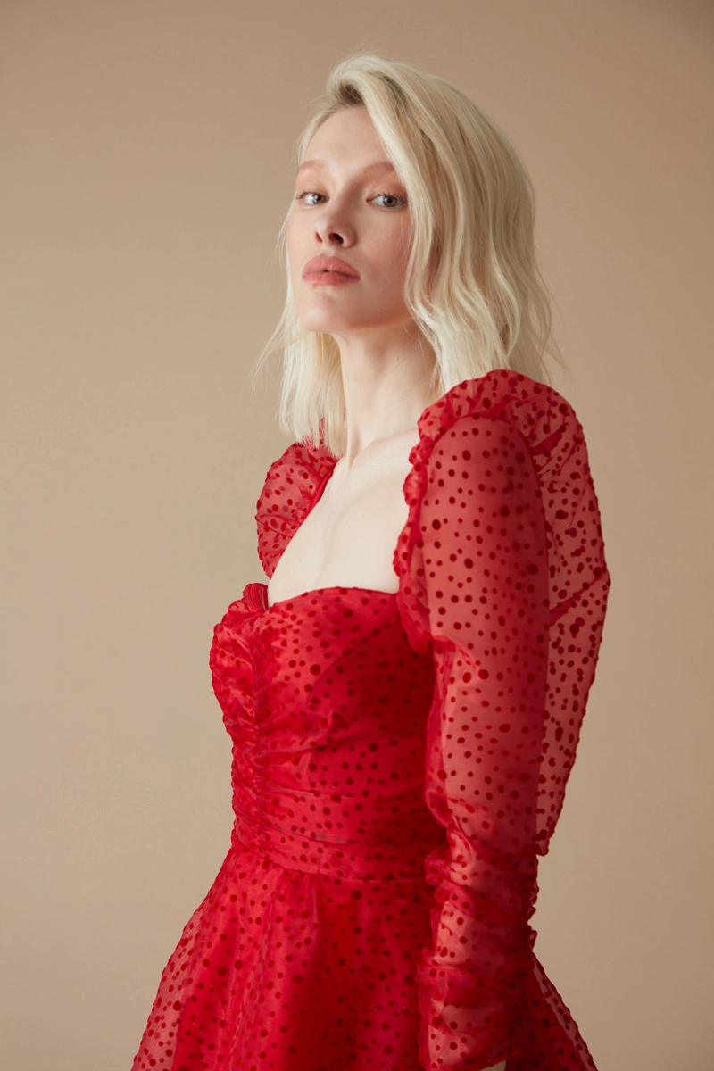 Red Tulle Long Sleeve Mini Dress