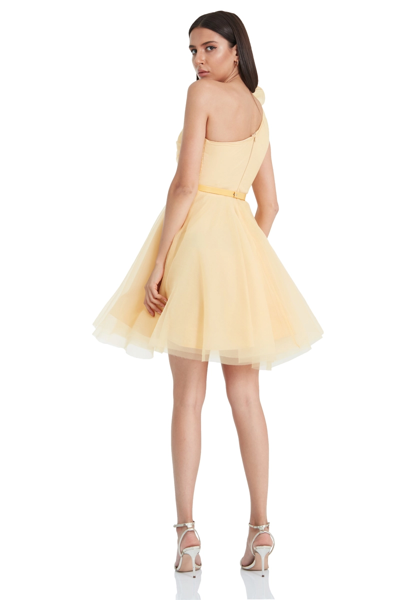 Yellow Tulle Mini Dress