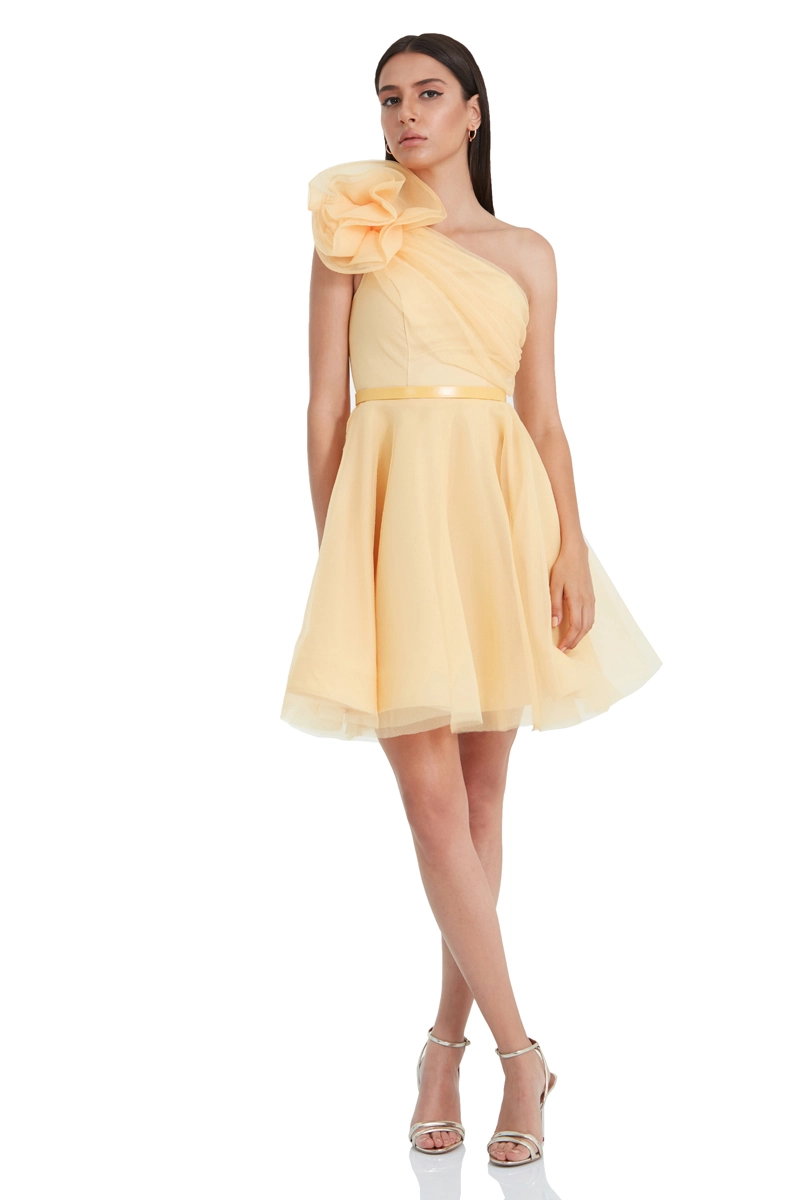 Yellow Tulle Mini Dress