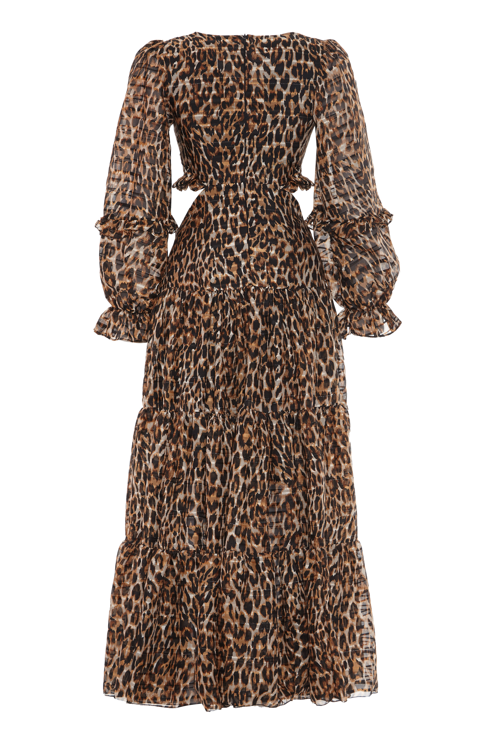 Printed Chiffon Long Sleeve Maxi Dress
