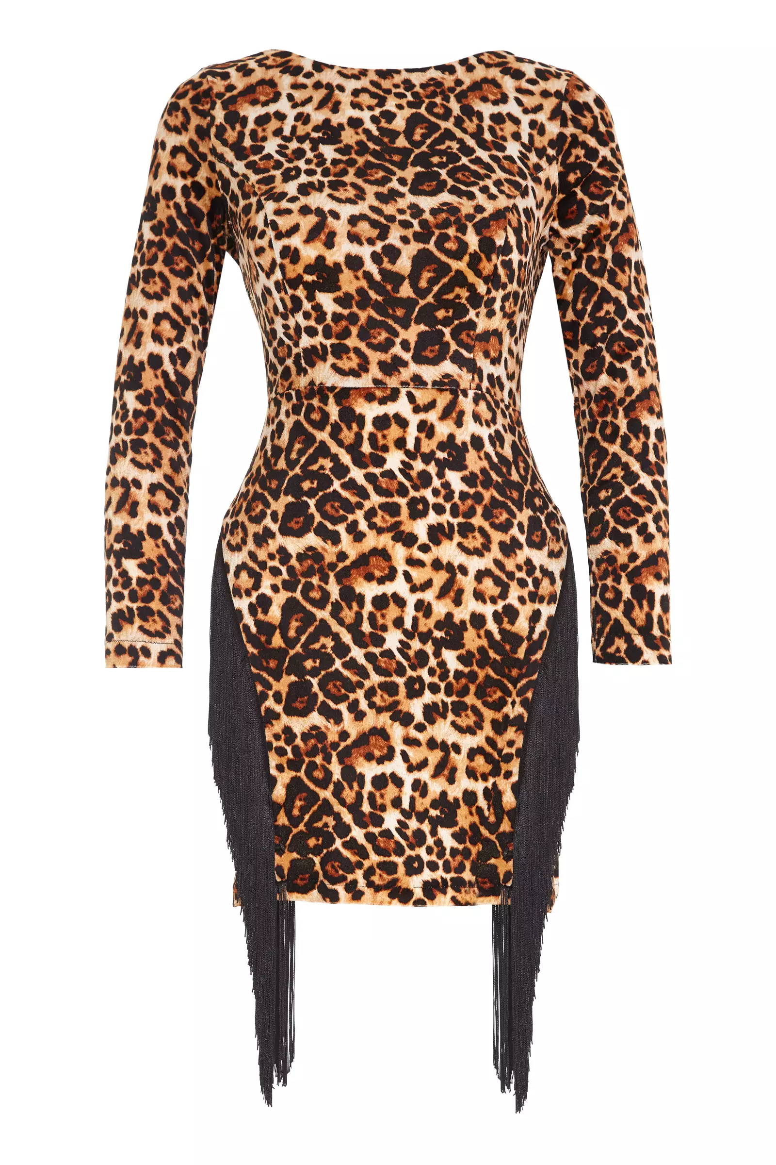 Printed Velvet Long Sleeve Mini Dress
