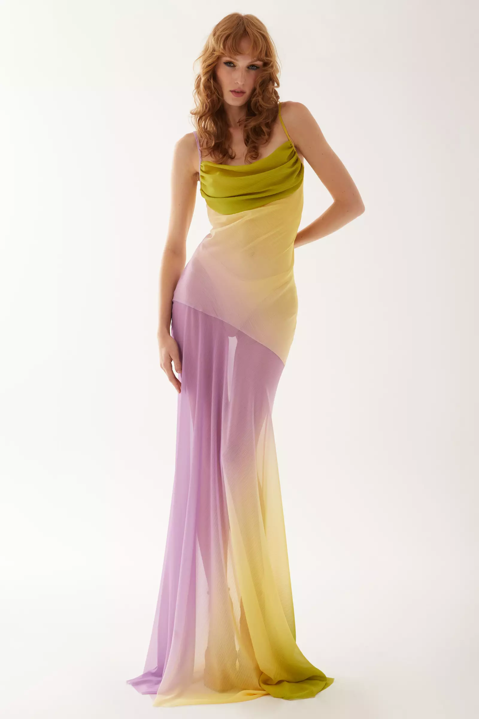 Printed Sifon Sleeveless Long Dress